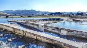 Mine pH adjustment and neutralization
