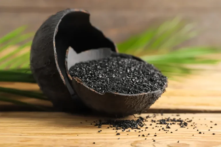 Coconut shell charcoal carbonized material in a coconut shell
