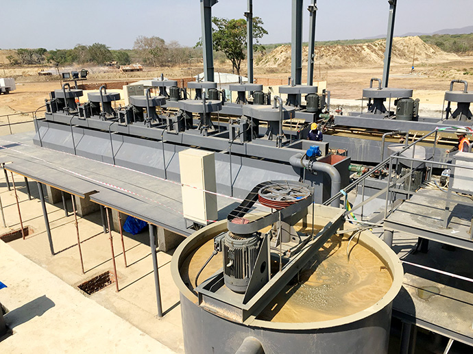 Flotation reagent regime and dosing system in mineral processing plant